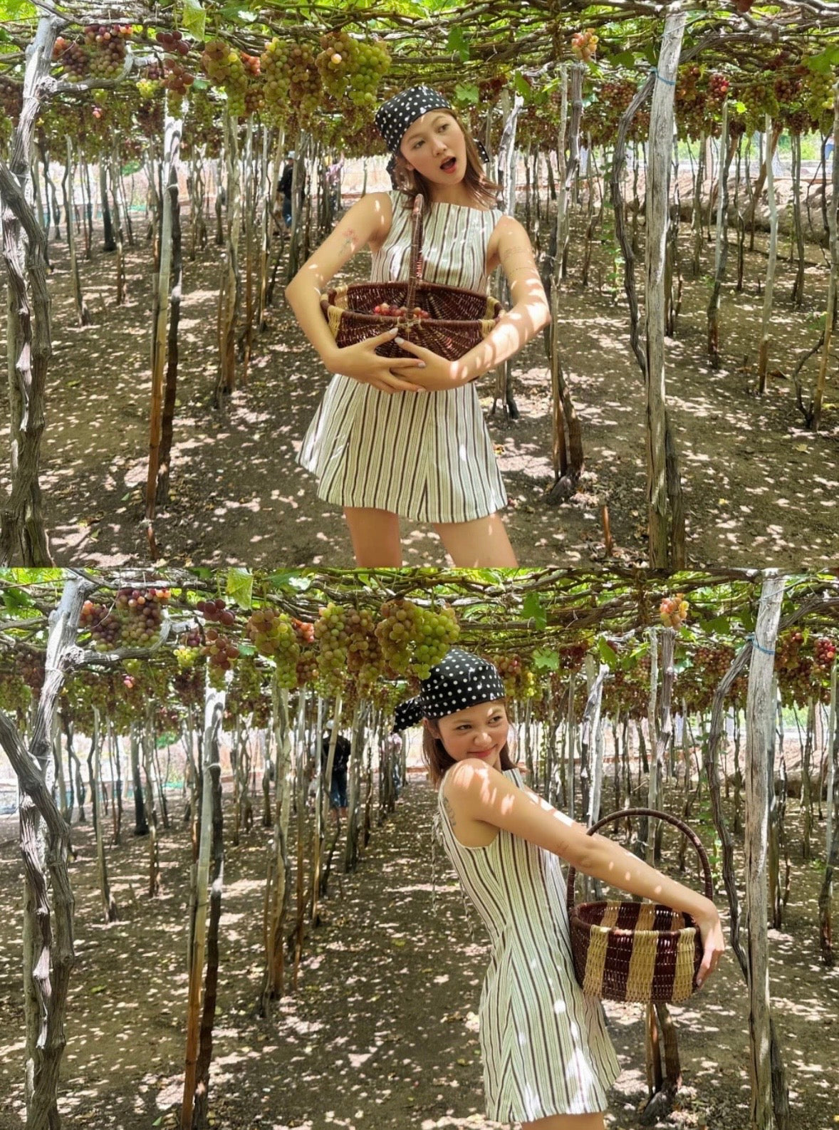 【🇻🇳越南連線】Striped Boat Neck Mini Dress