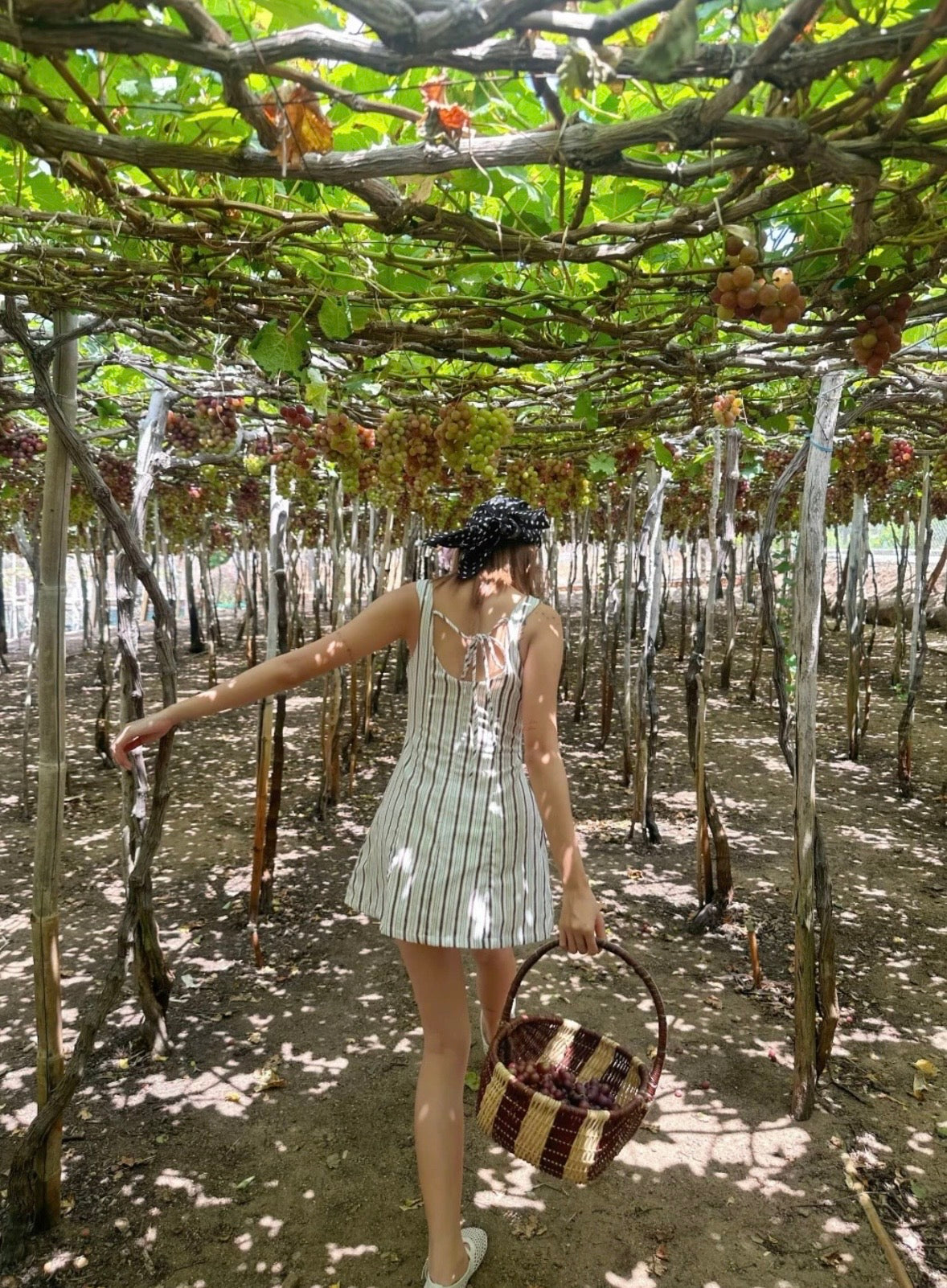 【🇻🇳越南連線】Striped Boat Neck Mini Dress