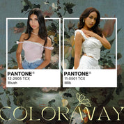 Honey Top - 7 colours