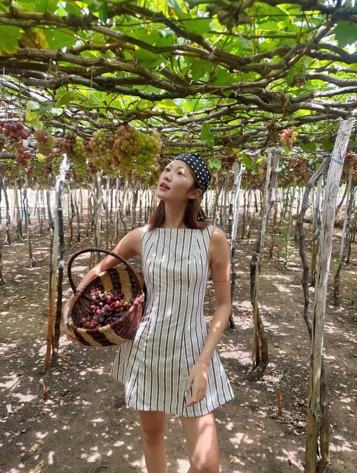 【🇻🇳越南連線】Striped Boat Neck Mini Dress