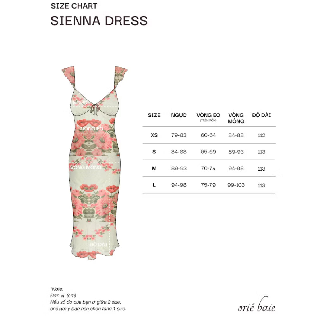 Sienna Long Dress