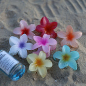 Hawaii Flower Hair Claw Clips